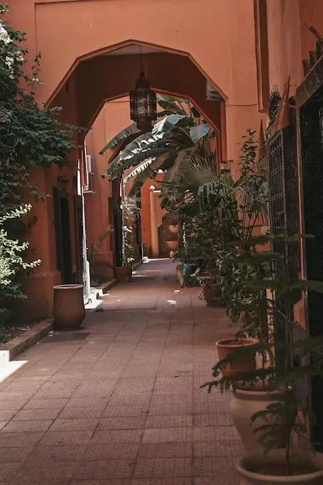 Riad Harmony Elegance Marocaine Marrakesh